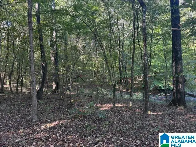 2479 PARSONS LOOP ROAD, Mulga, AL 35118 - #3