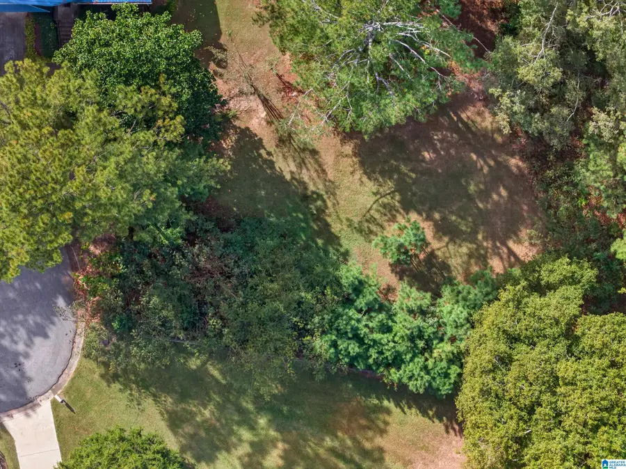 0 DALE COURT, Oxford, AL 36203 - #2