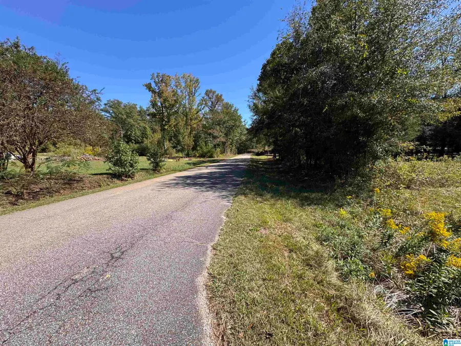 216 COUNTY ROAD 254, Clanton, AL 35046 - #2