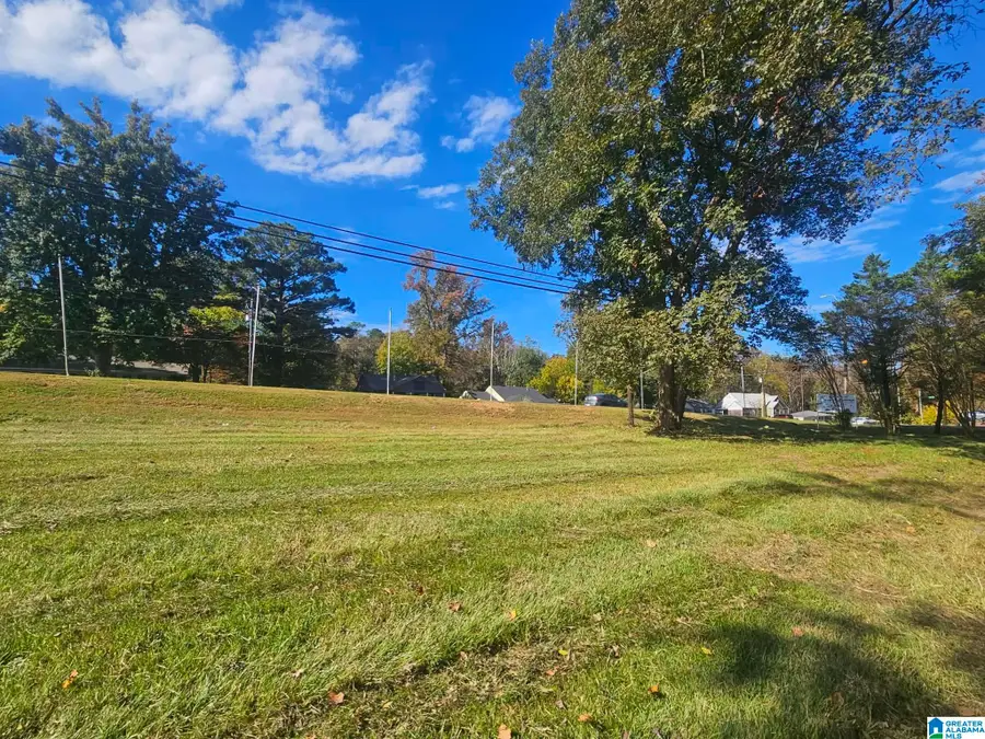 0 MAIN STREET, Blountsville, AL 35031 - #2