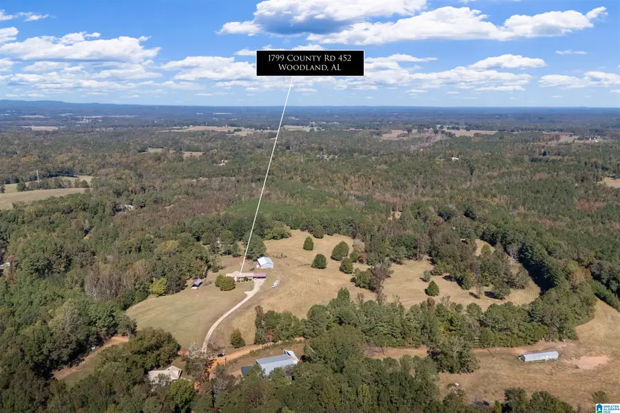 1799 COUNTY ROAD 452, Woodland, AL 36280 - #3