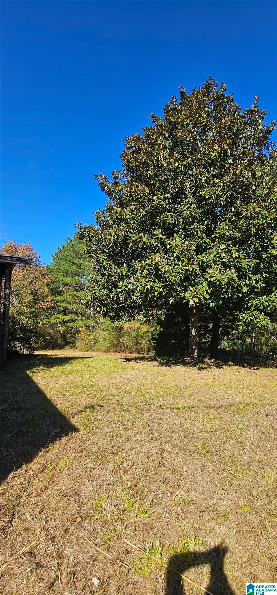 92 CREST CIRCLE, Springville, AL 35146 - #2