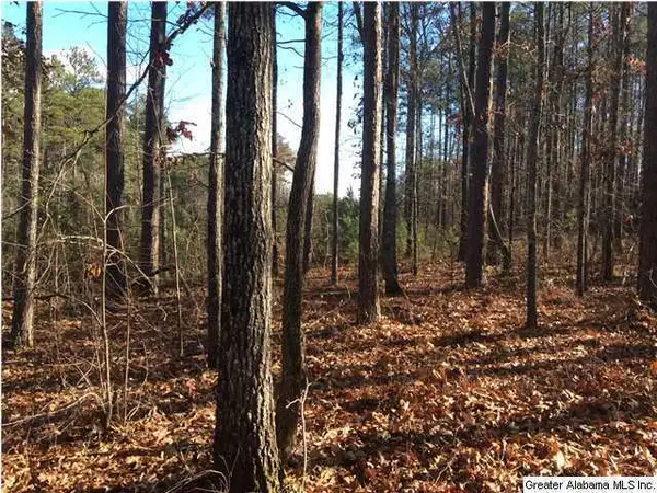 59 HAINES DRIVE, Vincent, AL 35178