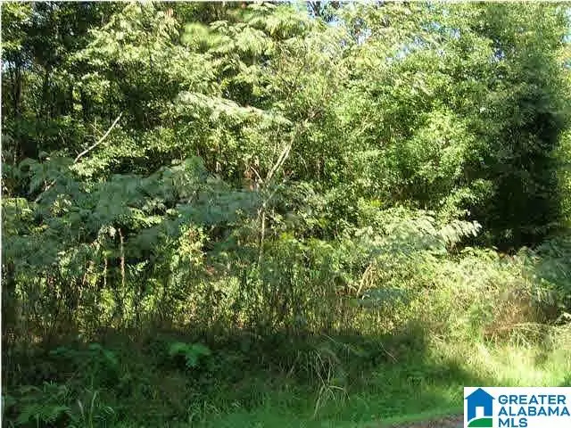 228 GOBER DRIVE, Birmingham, AL 35214 - Image #1