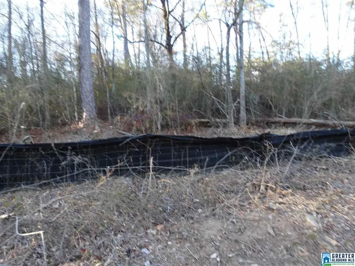 4419 HAMMOND ROAD, Birmingham, AL 35235 - Image #1