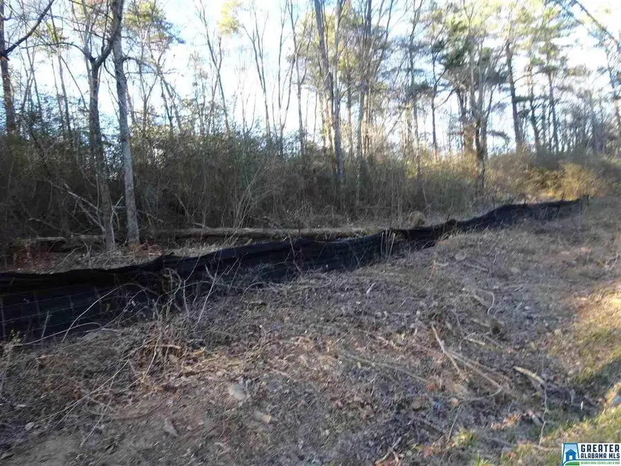 4419 HAMMOND ROAD, Birmingham, AL 35235 - Image #2