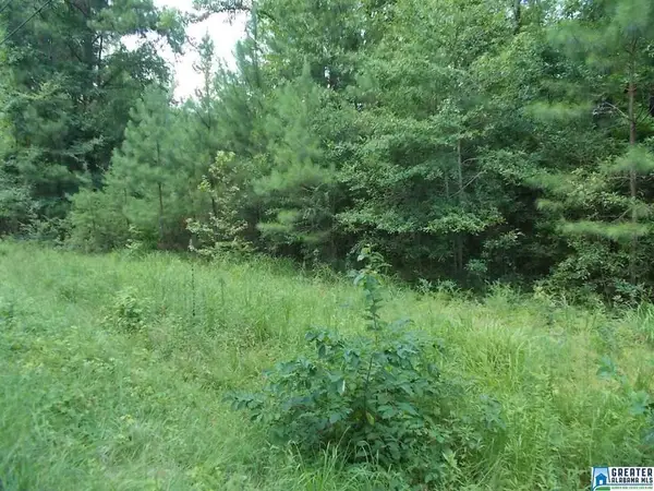 VALLEY TRAIL, Warrior, AL 35180