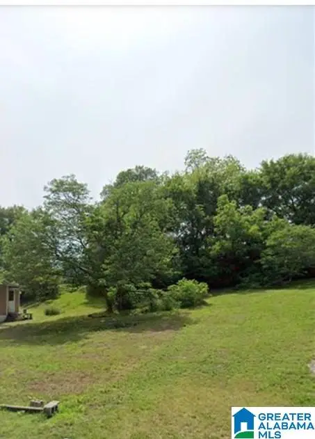3800 GILLISPIE ROAD, Dolomite, AL 35061 - Image #1