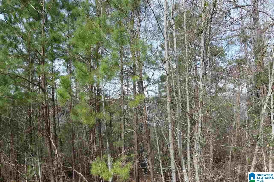 LOT # 18 OVERLOOK DRIVE, Wedowee, AL 36278 - Image #2