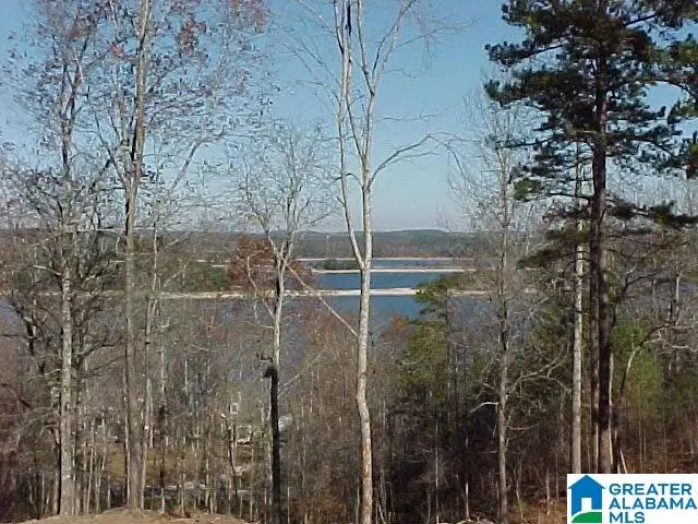 LOT # 18 OVERLOOK DRIVE, Wedowee, AL 36278 - Image #3