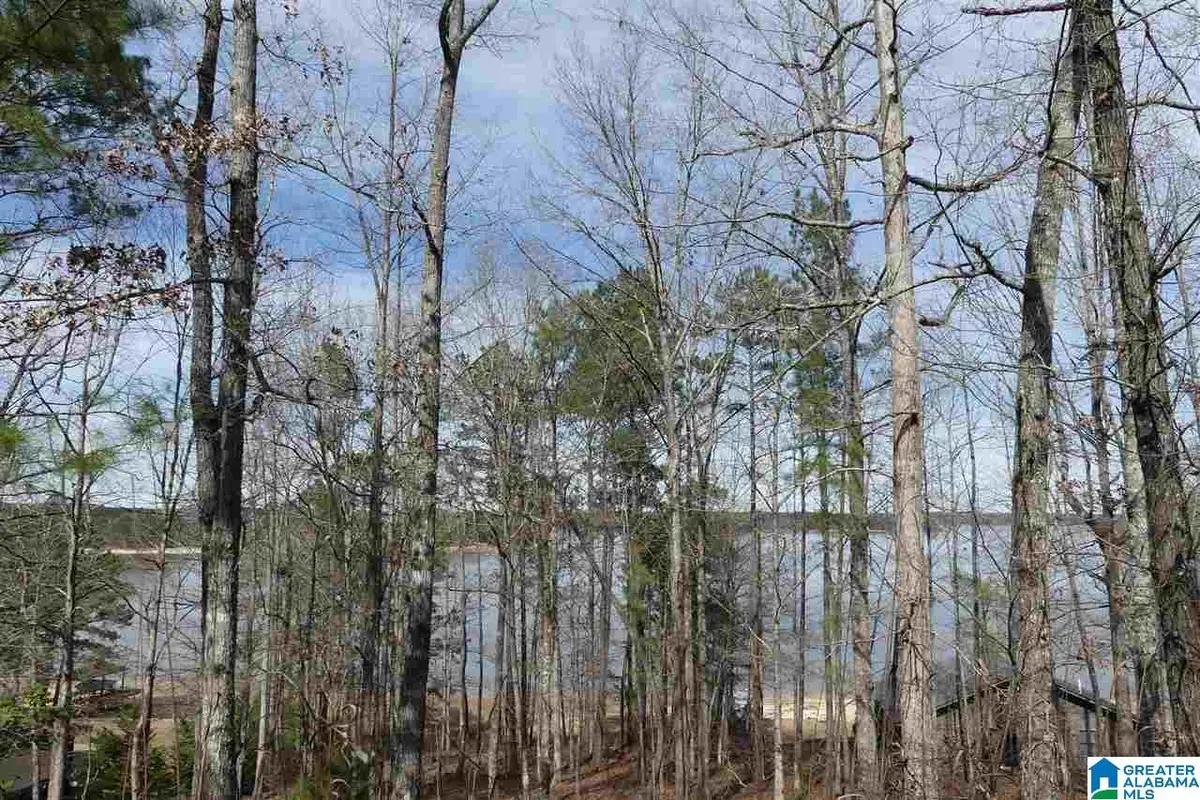 LOT # 20 OVERLOOK DRIVE, Wedowee, AL 36278 - Image #1