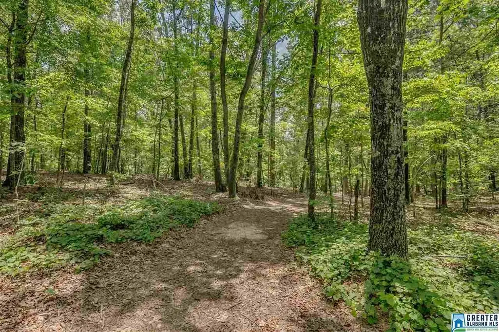 5 AUGUSTA WAY, Shoal Creek, AL 35242 - Image #1