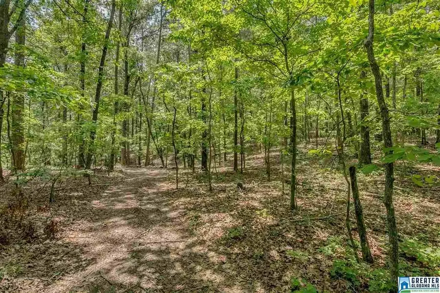 5 AUGUSTA WAY, Shoal Creek, AL 35242 - Image #2