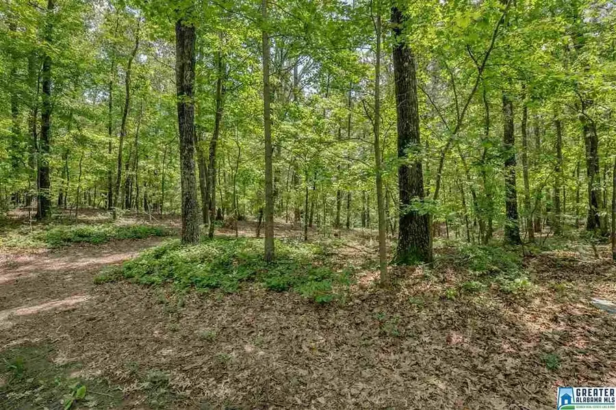 5 AUGUSTA WAY, Shoal Creek, AL 35242 - Image #3