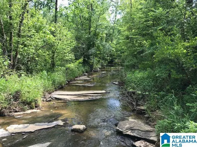 0 SANIE ROAD, Odenville, AL 35120 - Image #2