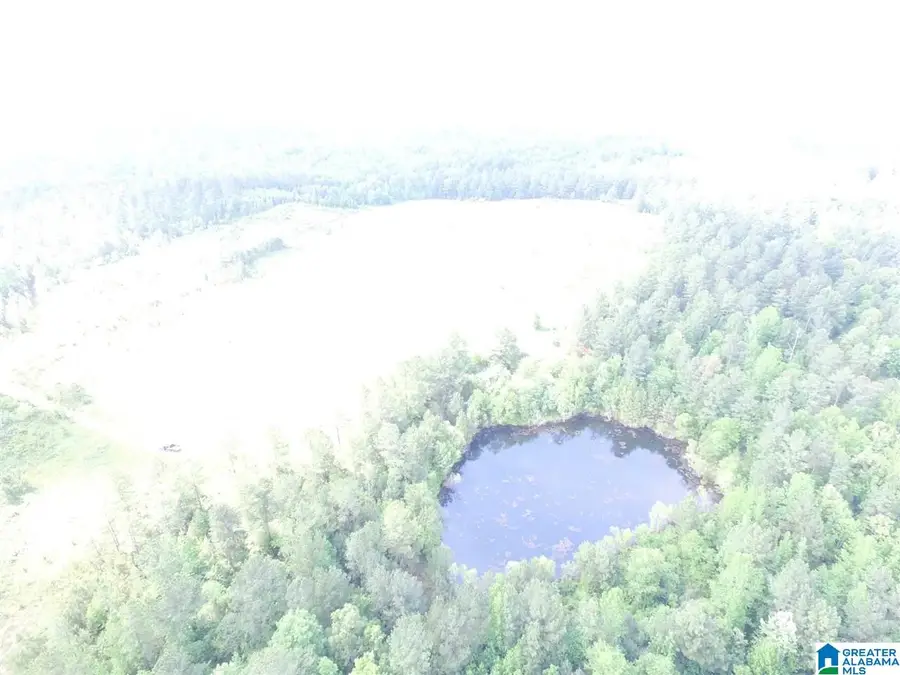 0 SANIE ROAD, Odenville, AL 35120 - Image #3