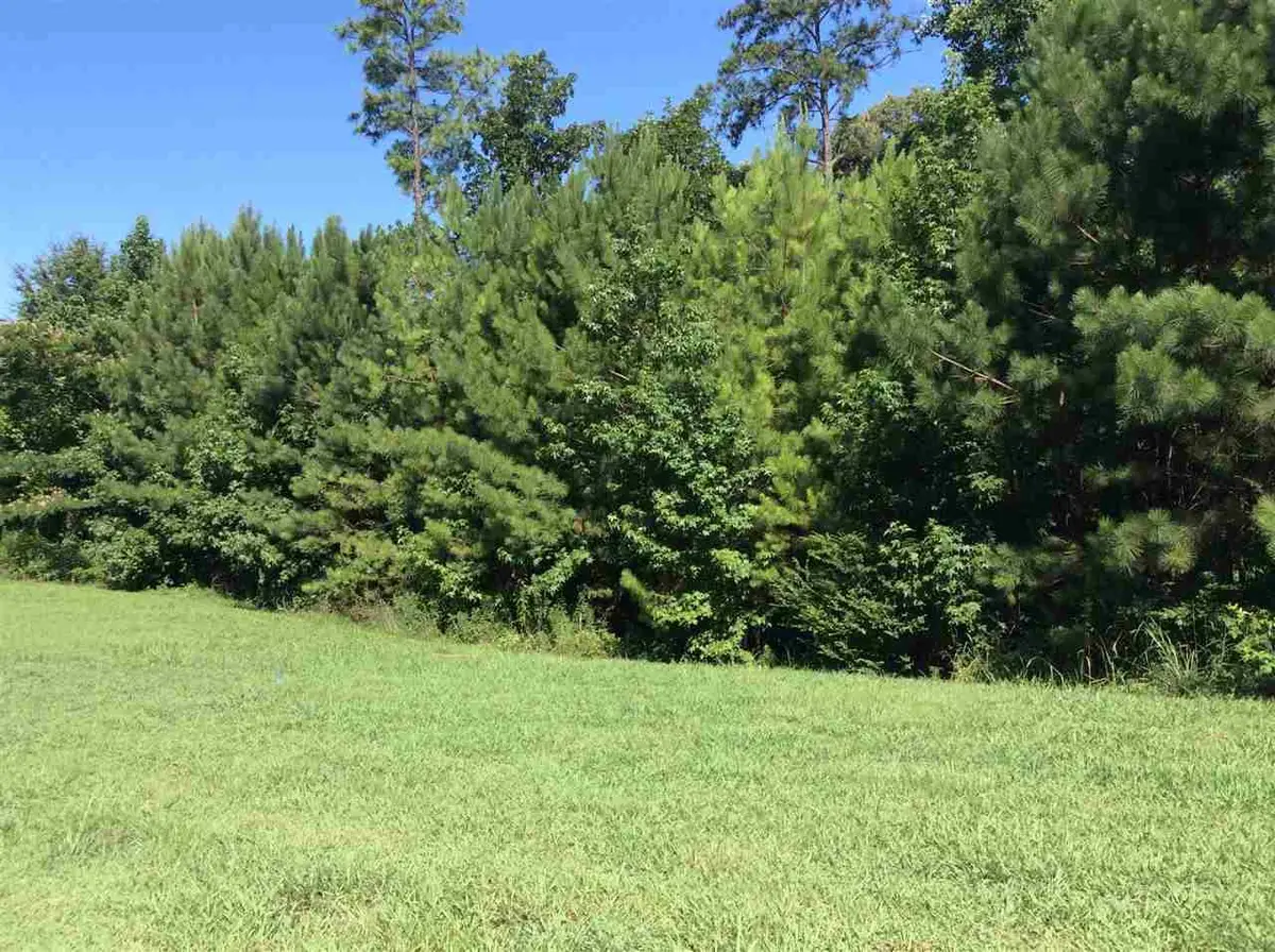 LOT 1 INDIAN GATE CIRCLE, Hoover, AL 35242 - Image #1