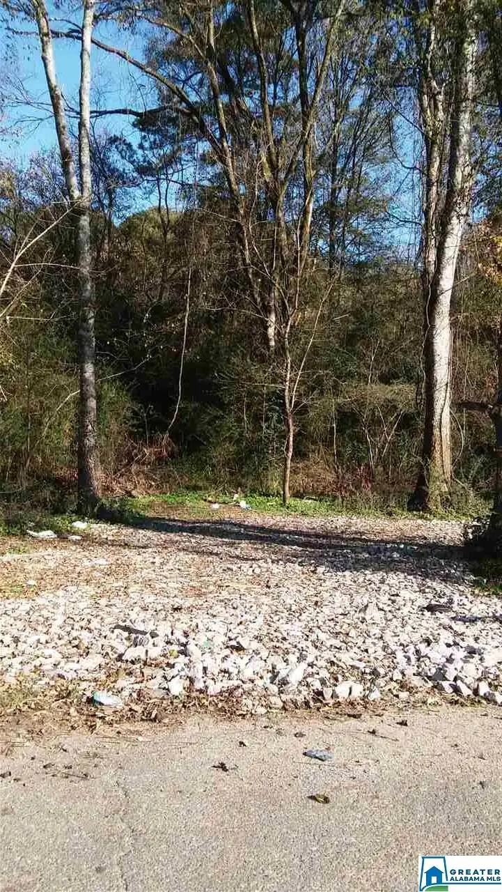 9603 MARSHALL AVENUE, Birmingham, AL 35217 - Image #1