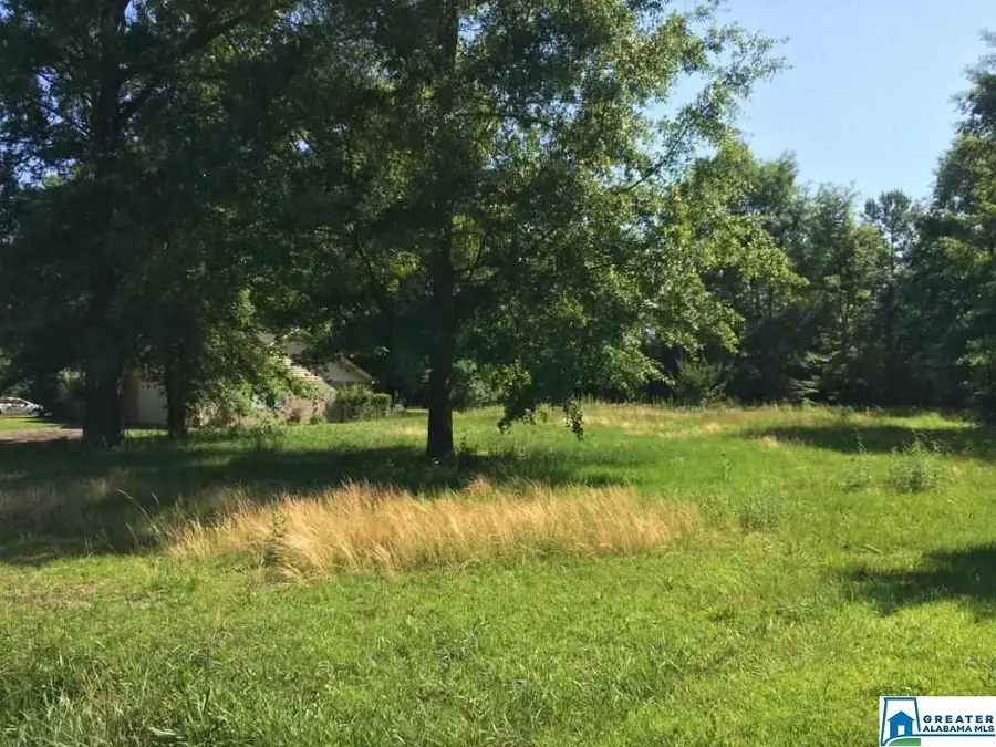 704 SW AVENUE X, Childersburg, AL 35044 - Image #2