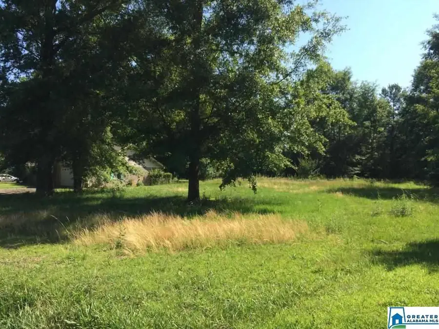 704 SW AVENUE X, Childersburg, AL 35044 - Image #3