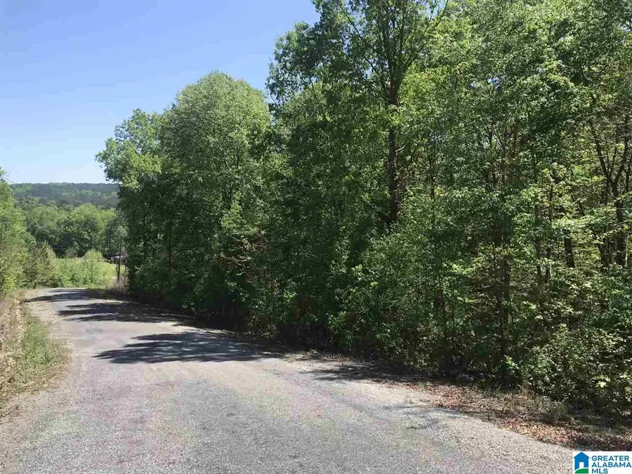 000 SHOAL CREST DRIVE, Ashville, AL 35953 - #3