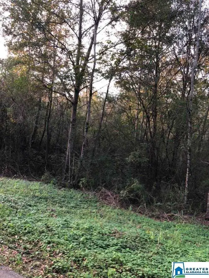 0 HIGHWAY 78 E, Heflin, AL 36264 - Image #3