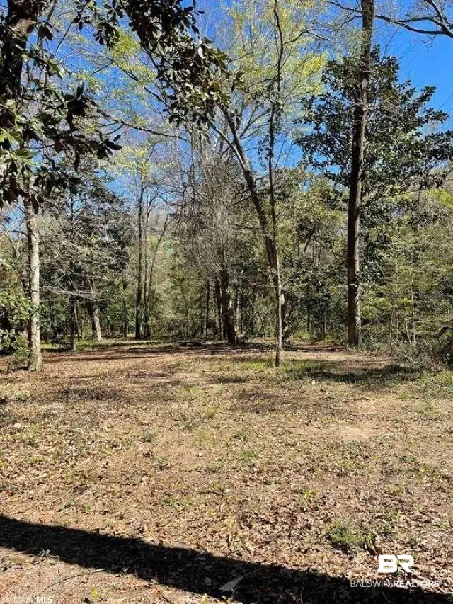 0 Pensacola Avenue, Fairhope, AL 36532 - #3