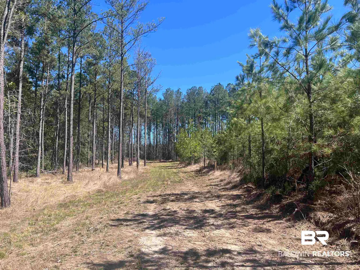 3 Robinsonville Road, Atmore, AL 36502 - #1