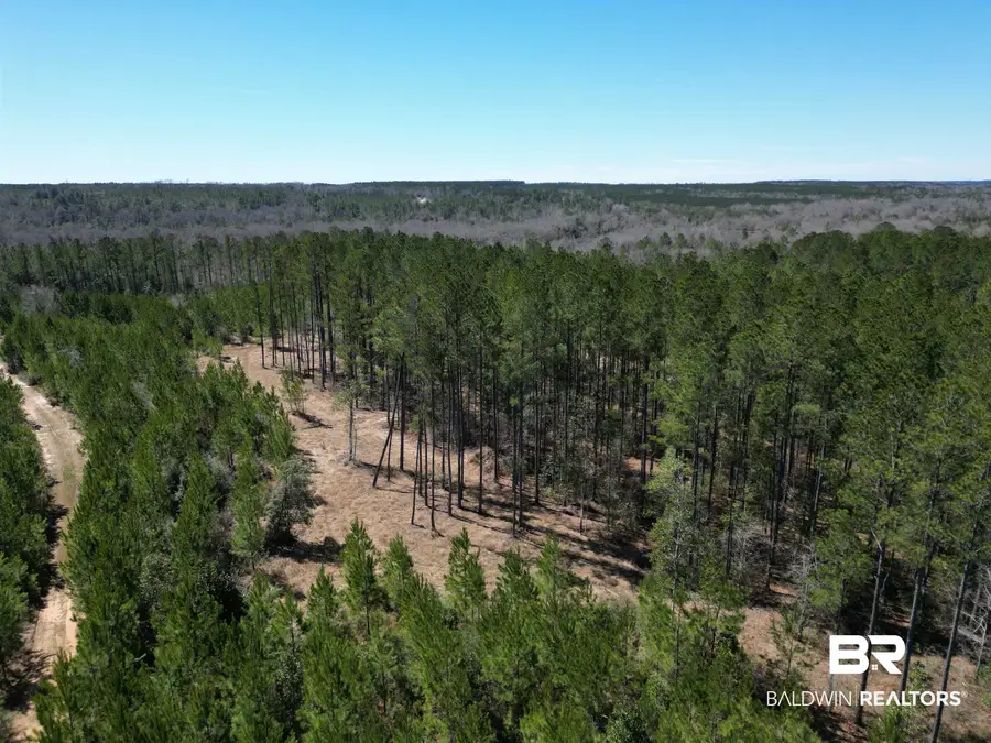 3 Robinsonville Road, Atmore, AL 36502 - #2