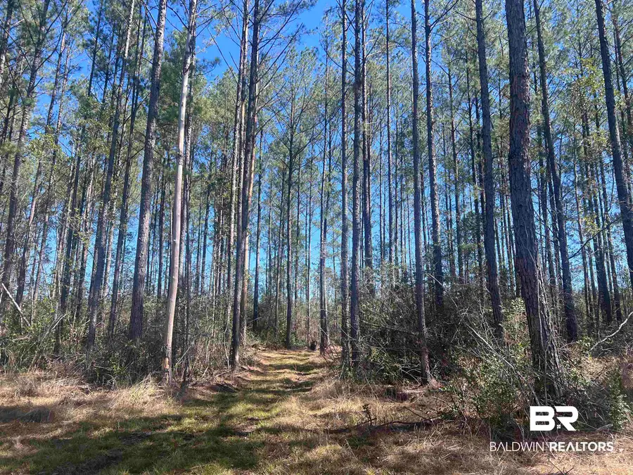 3 Robinsonville Road, Atmore, AL 36502 - #3
