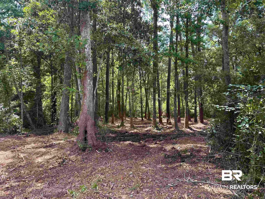 0 Saddlewood Lane, Fairhope, AL 36532 - #2