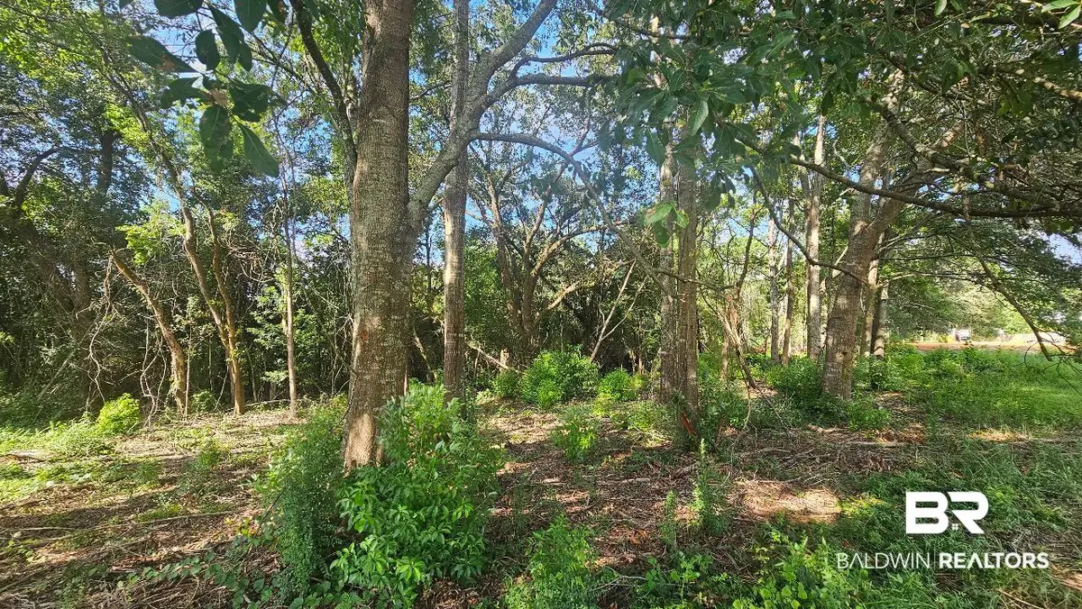 903 Savannah Court, Summerdale, AL 36580 - #1