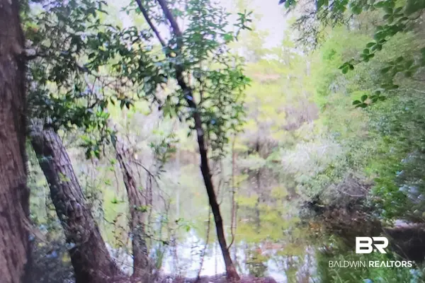 0 Juniper Road, Seminole, AL 36574
