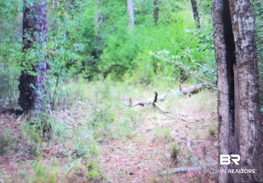 0 Juniper Road, Seminole, AL 36574 - #3