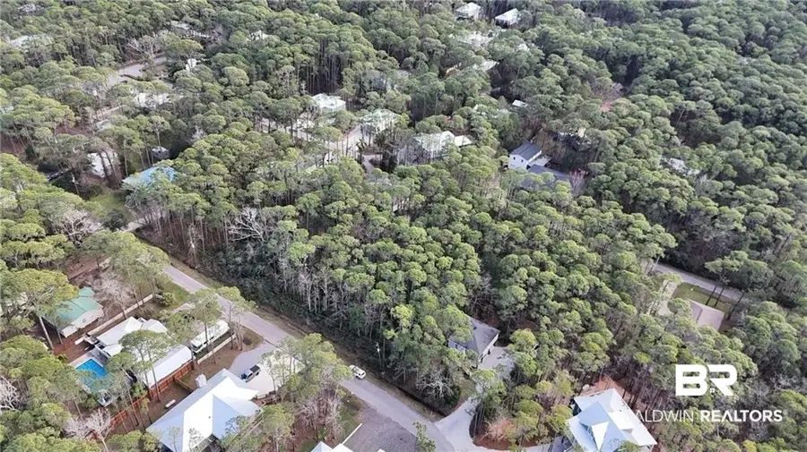 1011 Maldonado Place, Dauphin Island, AL 36528 - #2