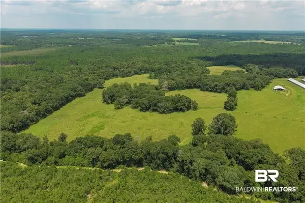 0 Circle R Farm Drive, Florala, AL 36442