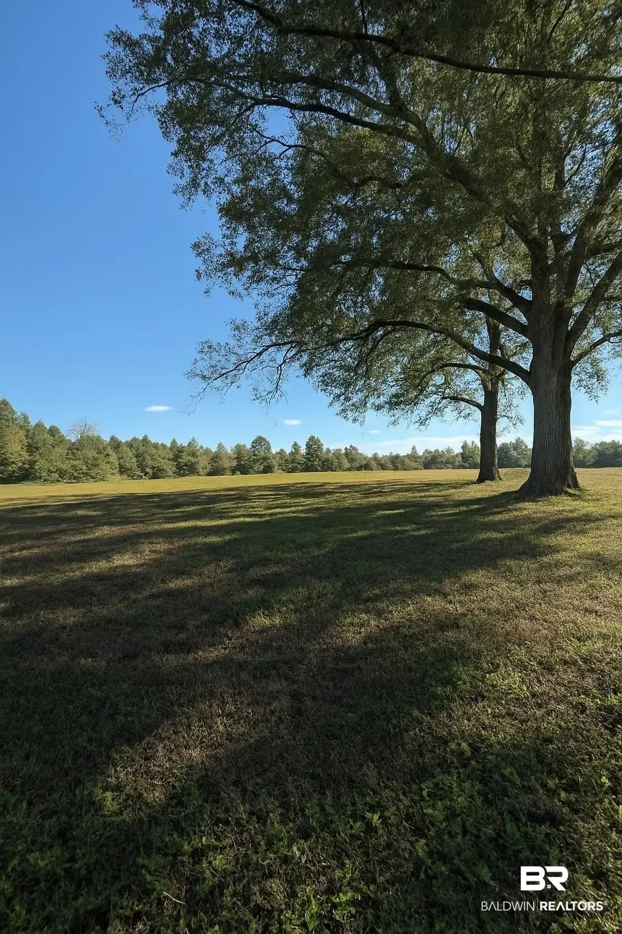11905 Airport Boulevard, Mobile, AL 36608 - #2