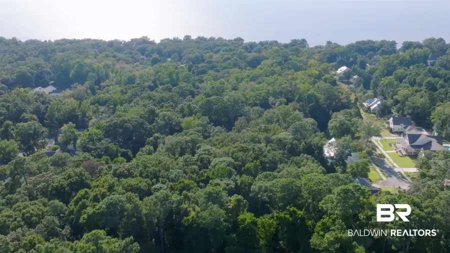 0 Old County Road, Daphne, AL 36526 - #3
