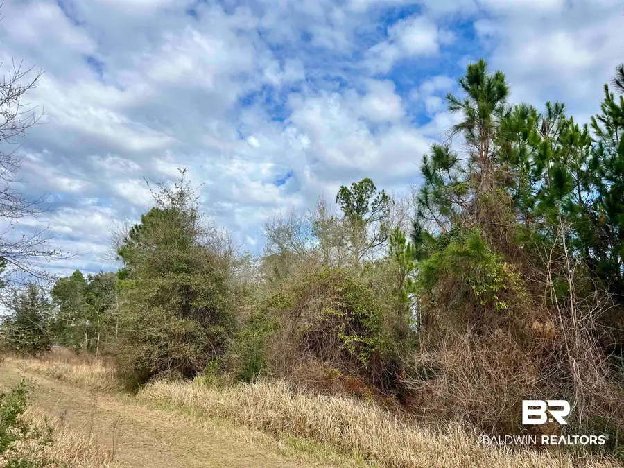 0 Montelucia Way, Daphne, AL 36526 - #2