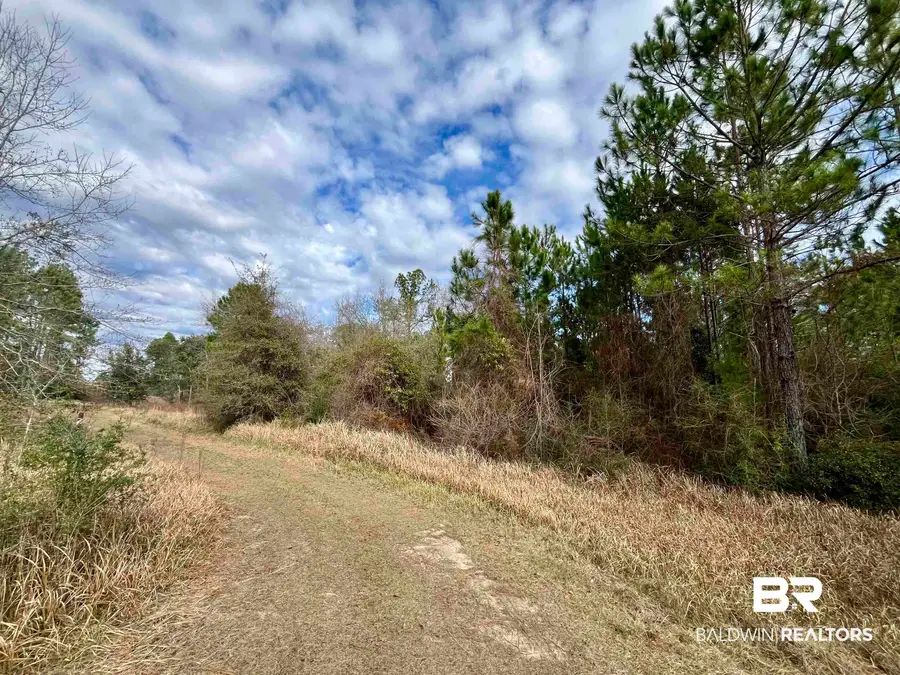 0 Montelucia Way, Daphne, AL 36526 - #3