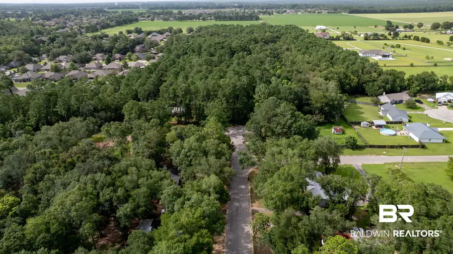 Lot 2 Caney Creek Drive, Daphne, AL 36526 - #3
