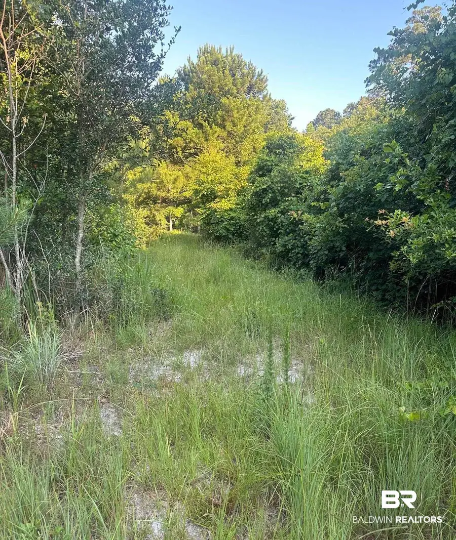 0 Nolte Creek Drive, Foley, AL 35635 - #2