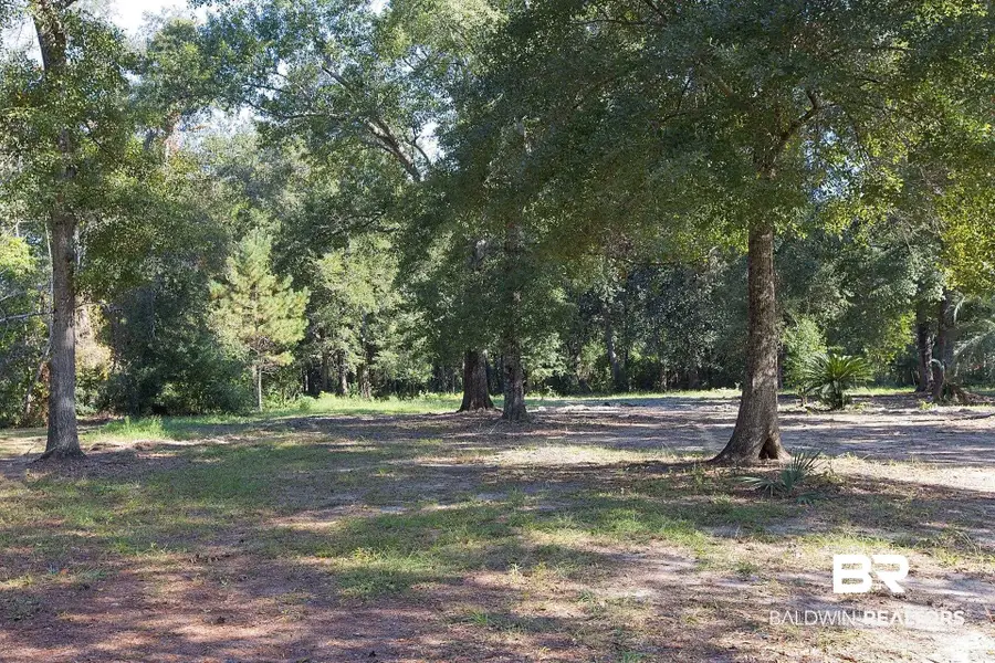 13555 Nolte Creek Drive, Foley, AL 36535 - #3