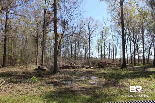 0 Heron Point Drive, Lowndesboro, AL 36752