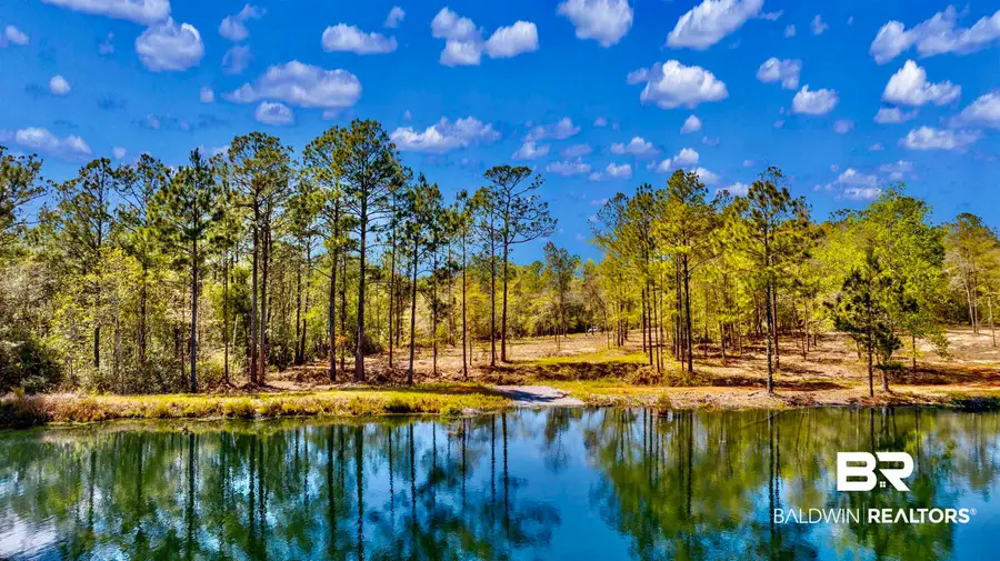 4 Red Feather Drive, Seminole, AL 36574 - #2