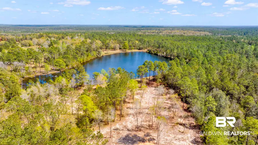 4 Red Feather Drive, Seminole, AL 36574 - #3