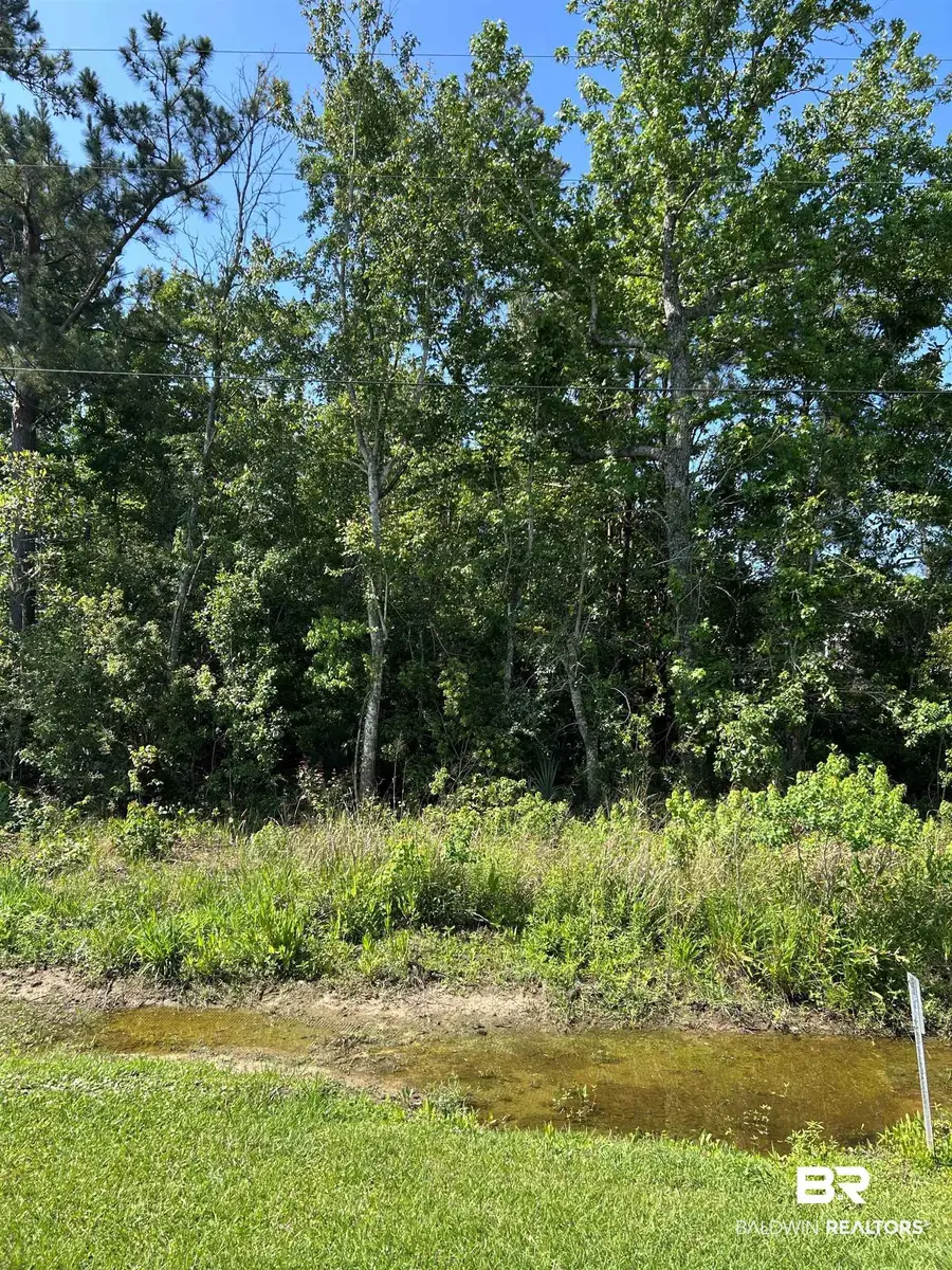 0 County Road 1, Fairhope, AL 36532 - #3