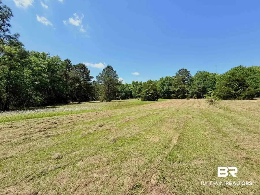 0 Pearson Lane, Robertsdale, AL 36567 - #3