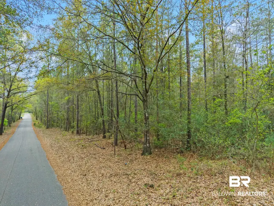 0 Tom Shivers Road, Flomaton, AL 36441 - #2