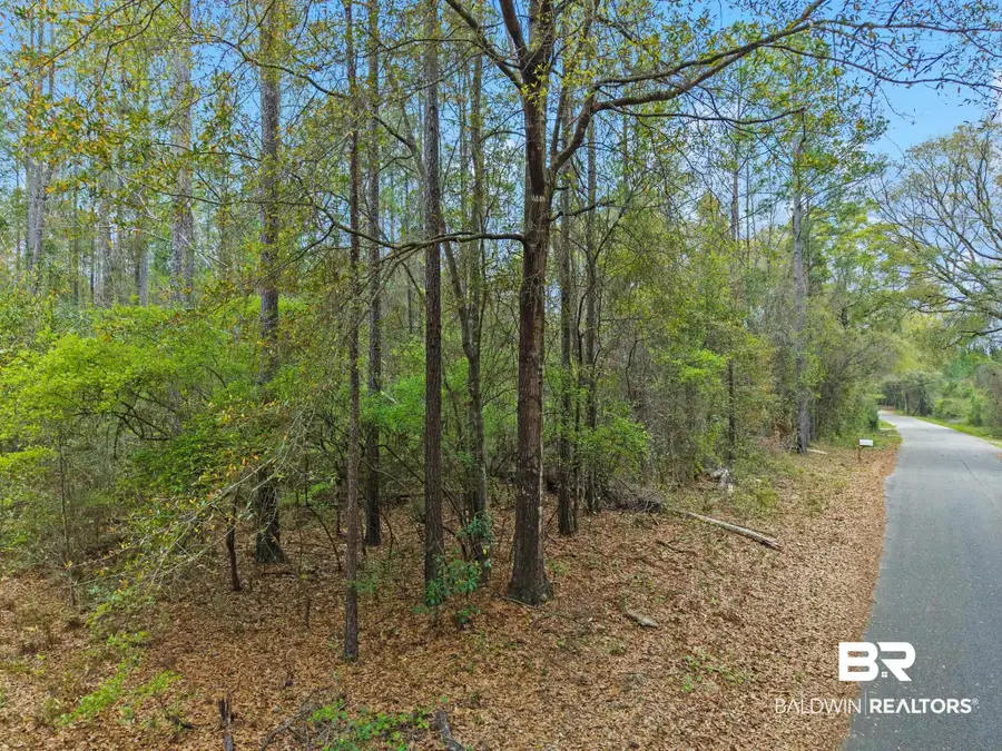 0 Tom Shivers Road, Flomaton, AL 36441 - #3